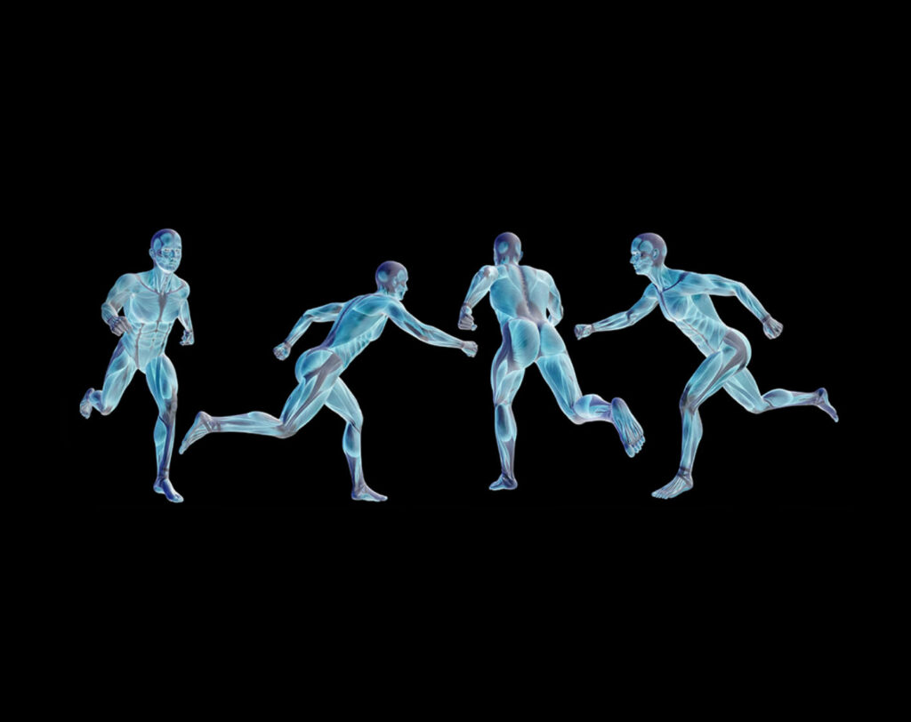 the science behind human body