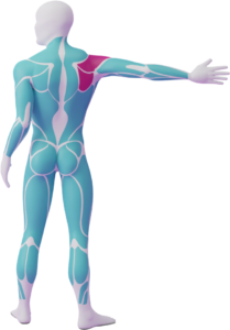 Single-Pec Stretch