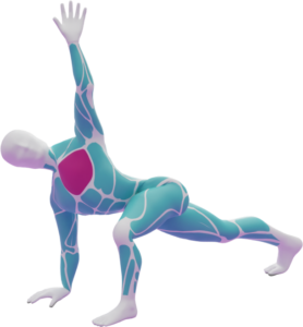 Chest Opener Stretch