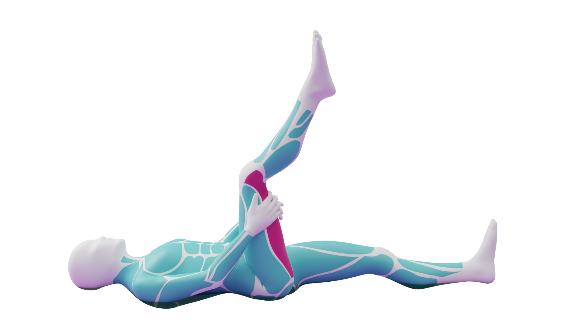 Lying Hamstring Stretch