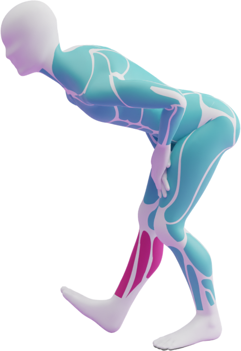 Pointed-Toe Calf Stretch